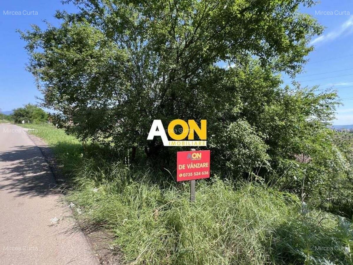 Teren de vanzare cu toate utilitatile si asfalt, 1001MP - 2