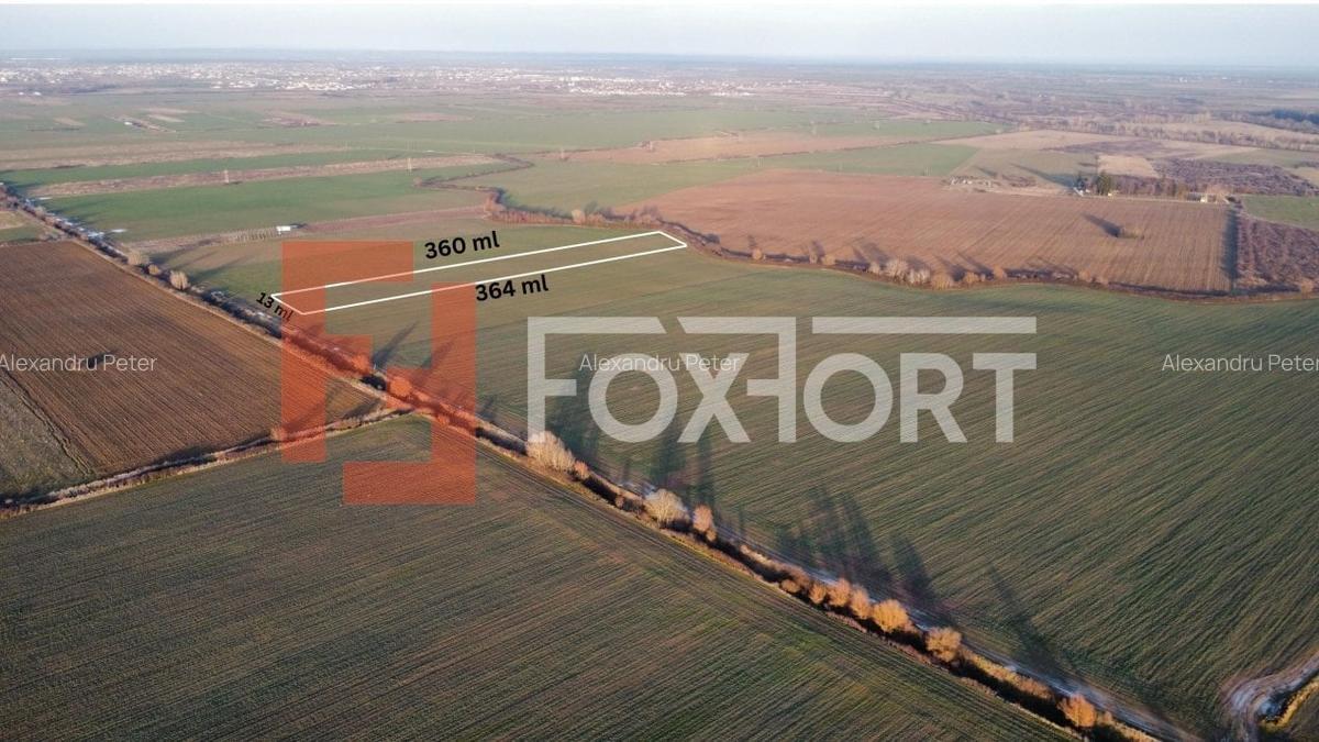 Teren extravilan arabil 4.803 mp - aproape de centura Timisoara Sud - 1