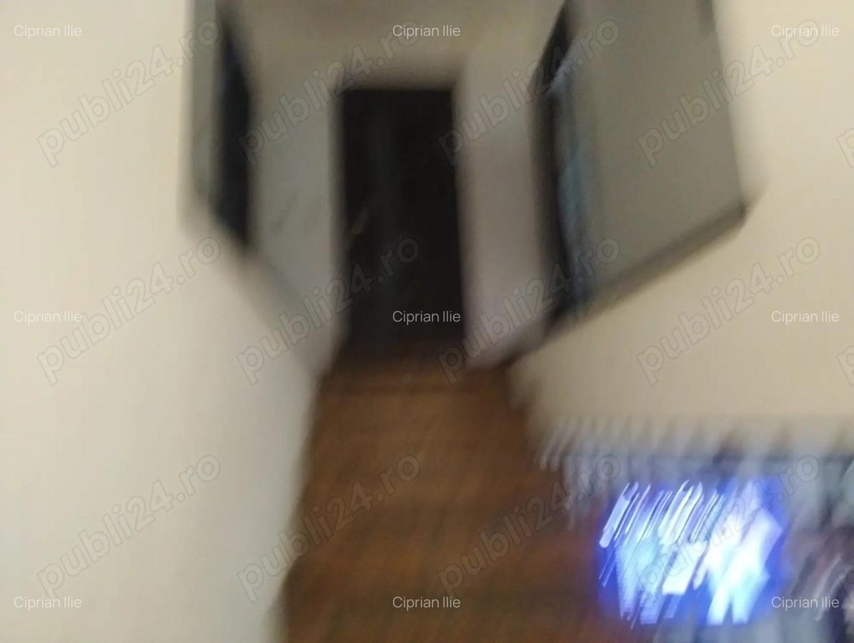 Casa de vanzare Valu lui traian - 9