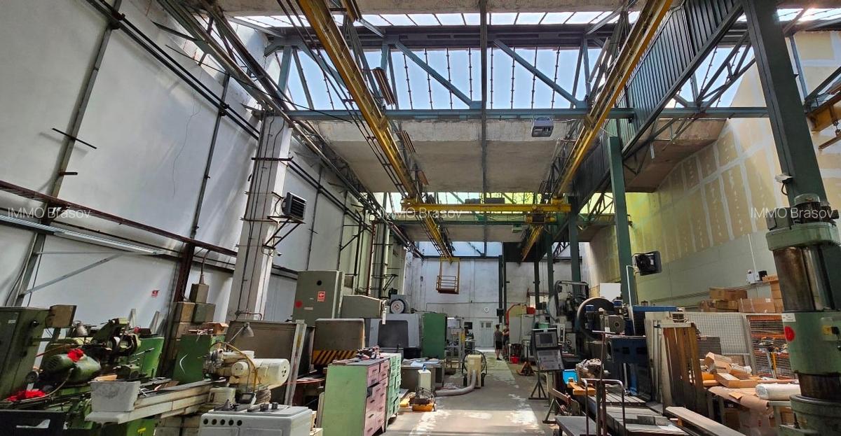 Hale de 270 - 370 mp in Parcul Industrial Roman pt. productie, depozitare - 8