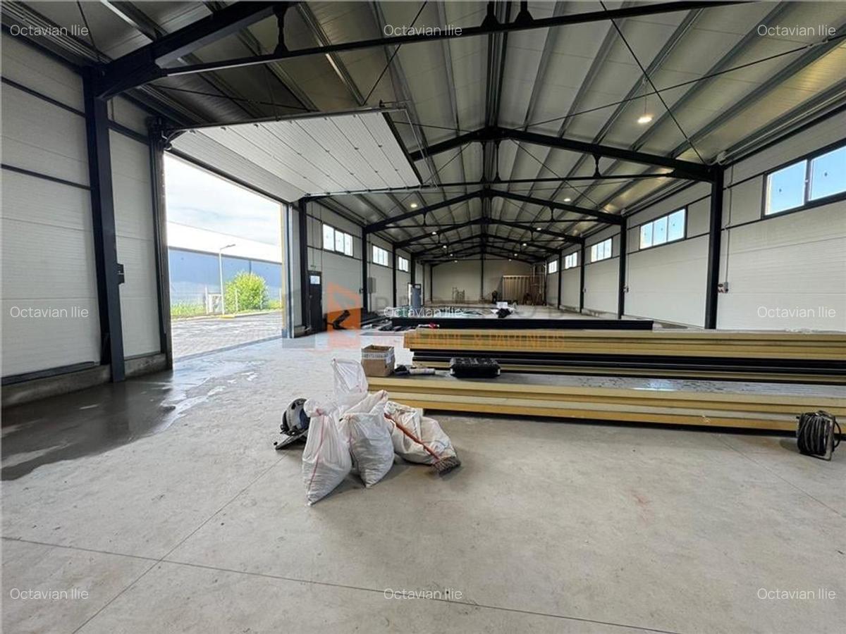 Hale Industriale zona sos. Spatarului - 4