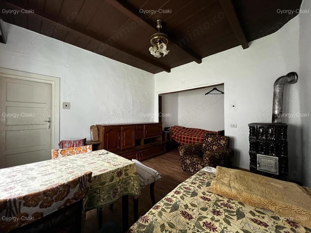 Casa sanatoasa cu teren 3000 mp - Sisterea - IMOBIHOR - 4