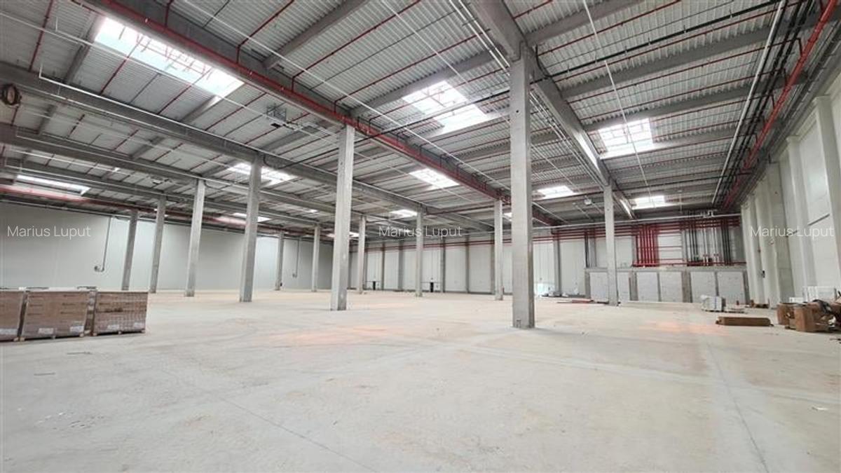 Hala industrialaTimisoara , 2500 mp, Calea Lugojului - 4
