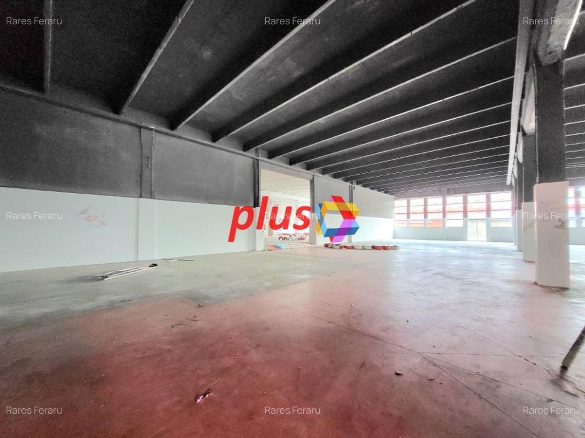 Show room - 600 mp #Plus-imo.ro - 4