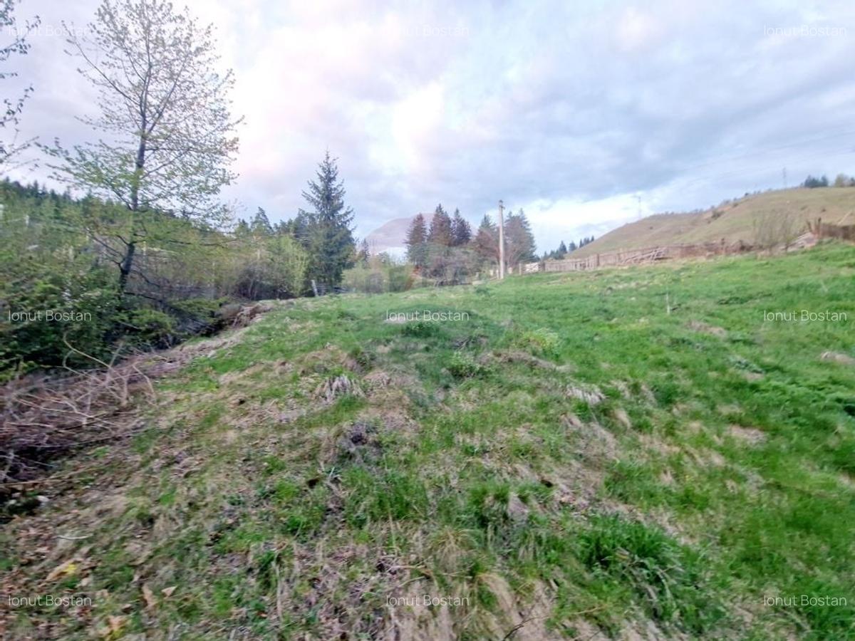 Teren cu vedere la Muntele Ceahlau - 13