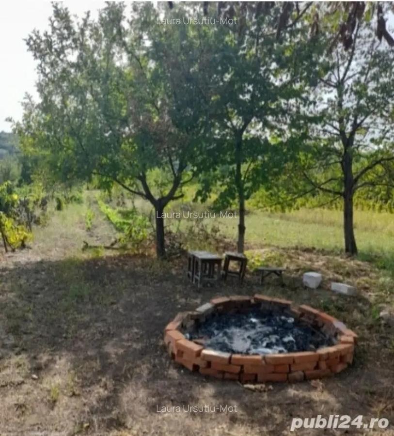 Casa in dealul Viilor Ineu - 8 Casa in dealul Viilor Ineu - 8