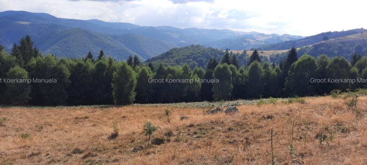 Teren montan, 19.593mp, 32.000 euro , zona Saliste-Crint,  priveliste frumoasa - 2