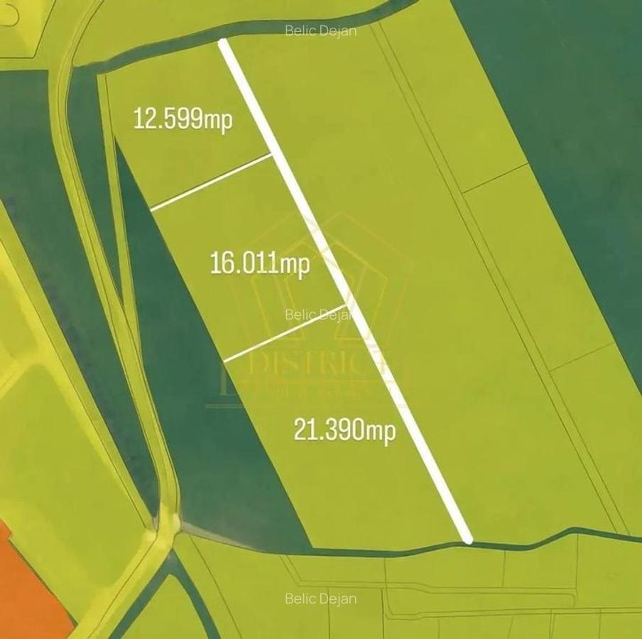 Teren intravilan 50.000mp | Sacalaz | - 1