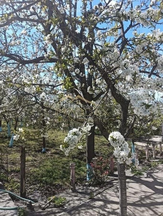 Vila 9 camere***gradina cu pomi fructiferi//1085 mp teren***Dragomiresti-Deal - 20