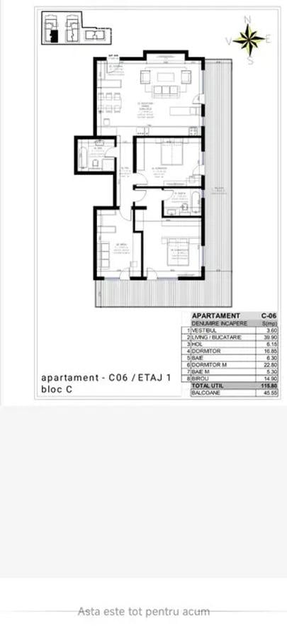 Apartament generos 4 camere + terasă, Erou Iancu Nicolae - 11