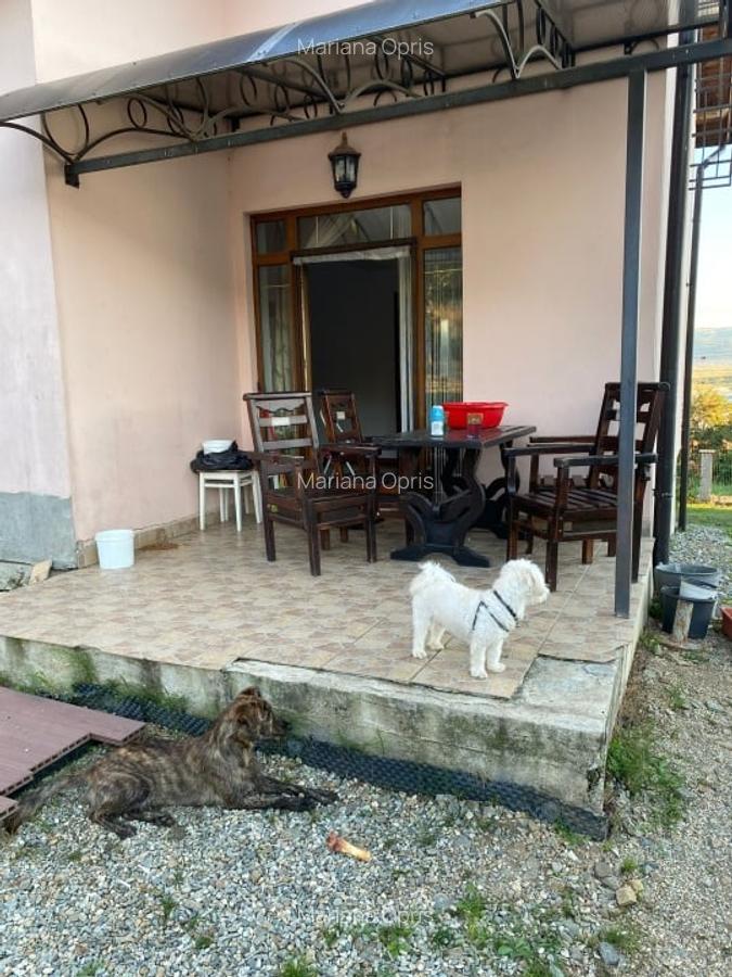 Casa de vanzare in Cartier DaVinci – 118 mp utili, teren generos de 640 mp - 3