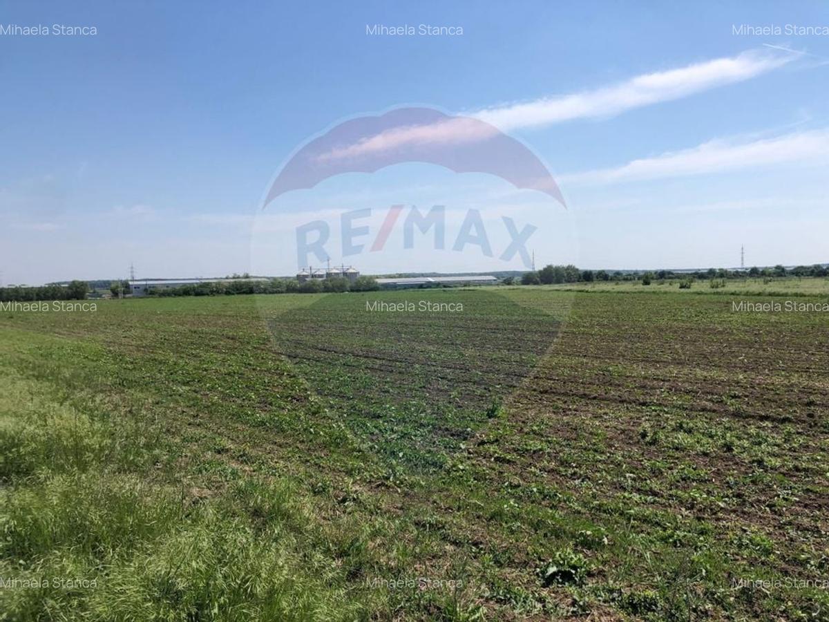 Teren  investitie/constructii industriale Pantelimon - 2