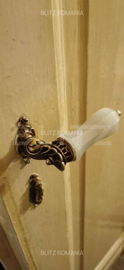Ocazie, apartament 220 mp in Piata Victoriei, vedere la catedrala/Timisoara - 10