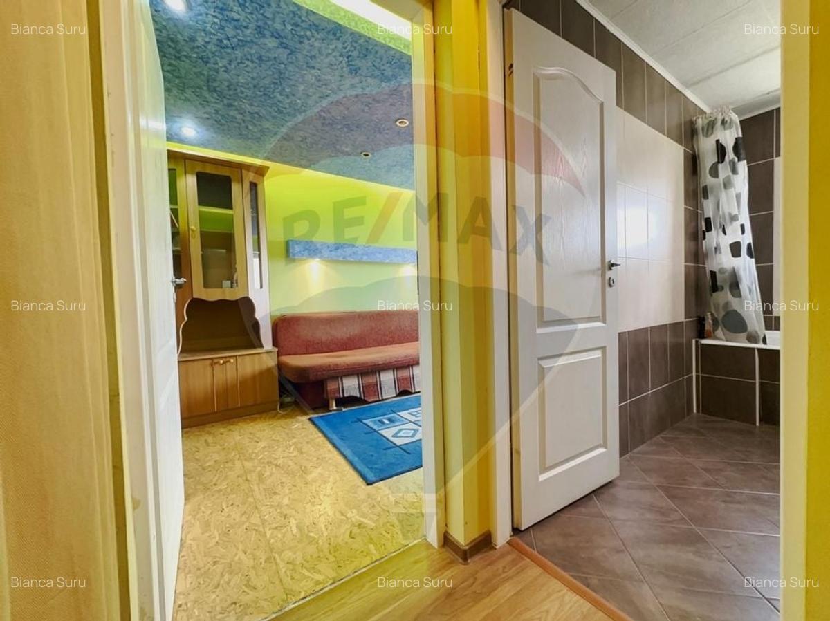 Apartament cu 2 camere de vanzare in zona Aradului - 10