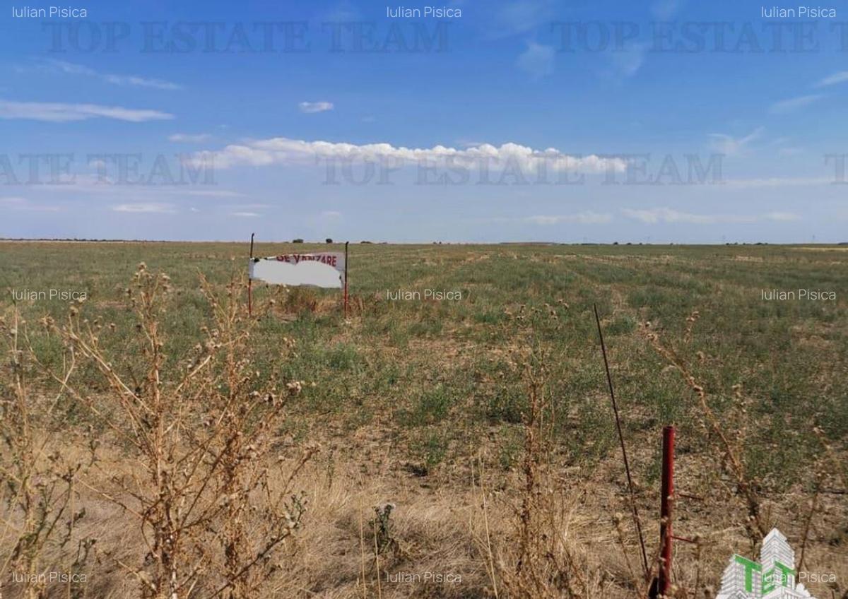 Teren zona Next Dovinot, Mihailesti DN6 5619mp D - 41.50m - 1