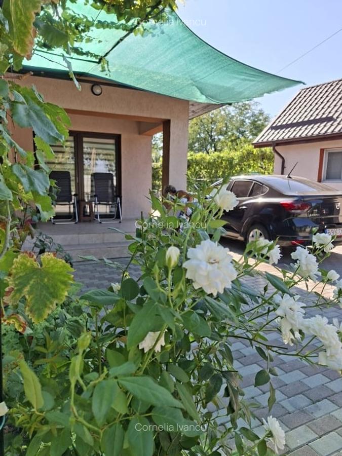 Confort si relaxare aproape de București, oraș Titu, Dâmbovița - 1