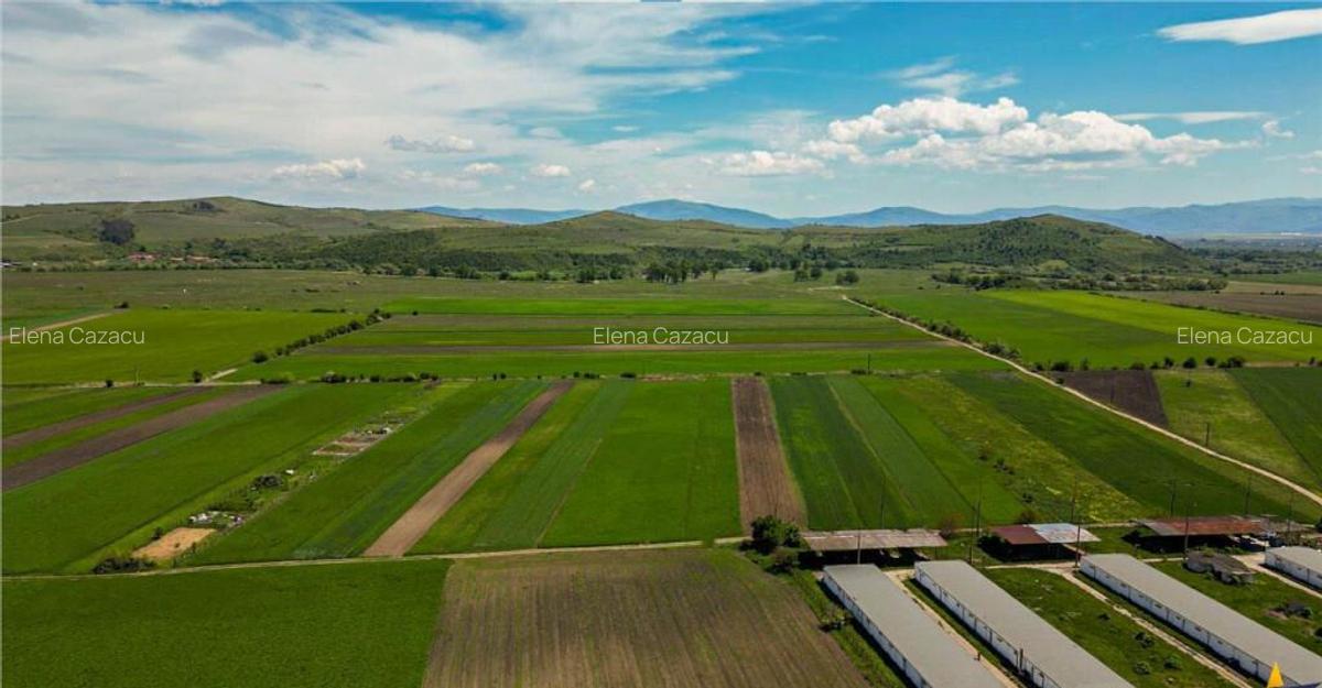 Aliniament de liniste, drum usor, 5.000 mp pamant verde, Bod - 2