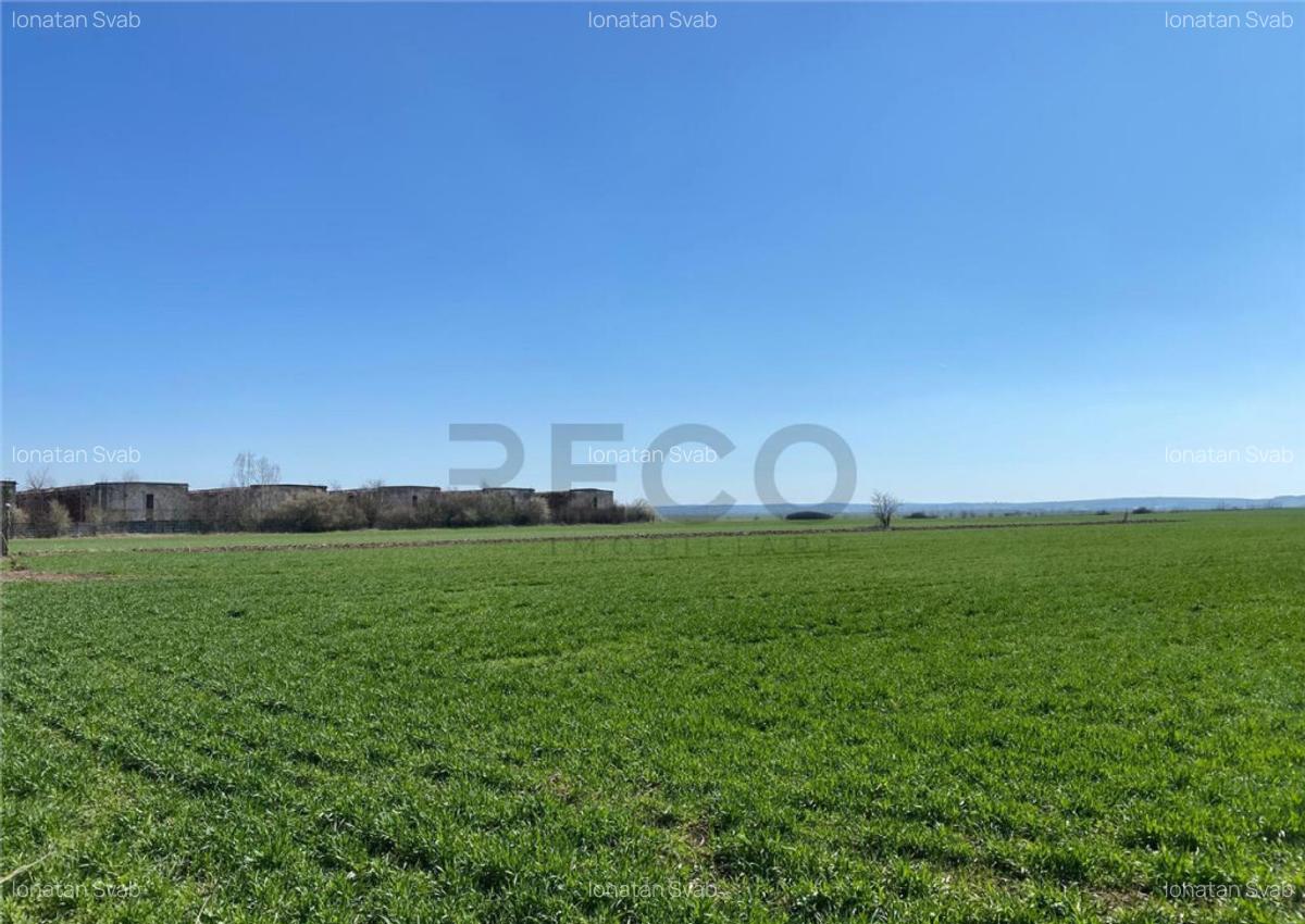 RECO Casa in Tamaseu 18km de Oradea - 12