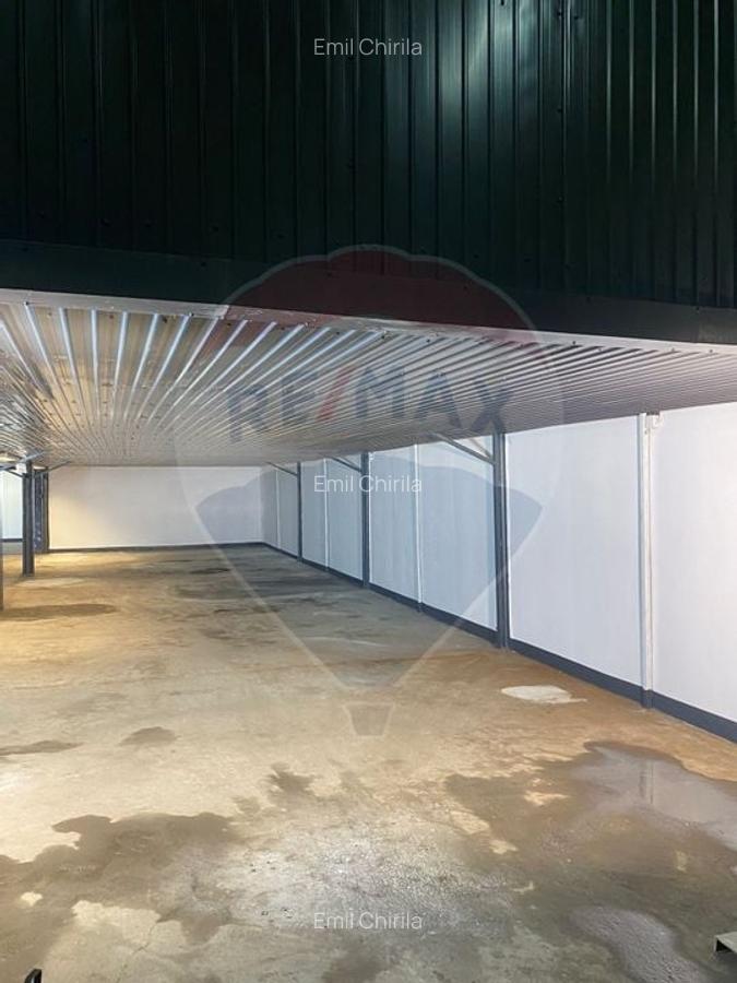 Trei spatii productie sau depozitare | 480-330-320mp | zona Bulgaria - 6
