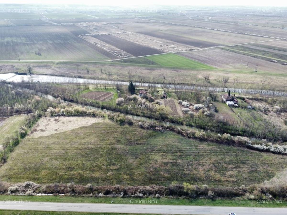 Teren intravilan Balint 22.500 mp - 3