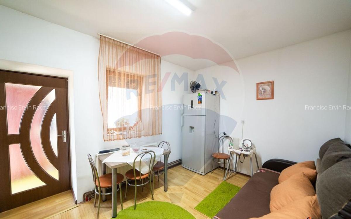 Imobil renovat, 2 apartamente, gradina ?i garaj Turnu - 10