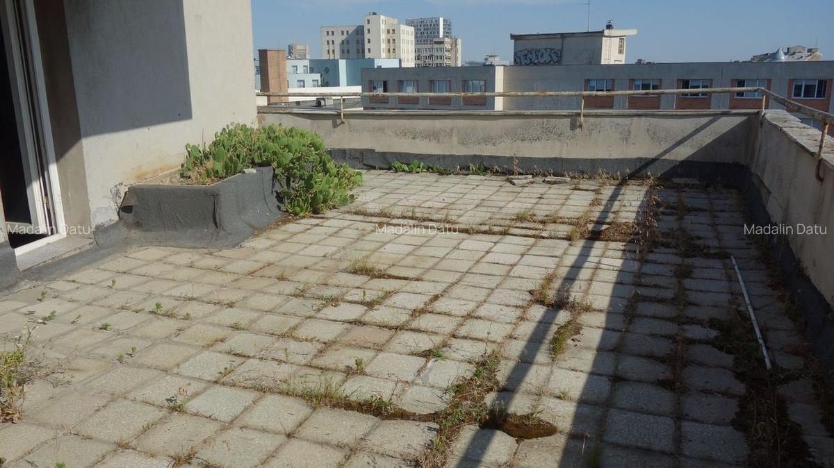 Calea  Victoriei-Piata Sfintii Voievozi: 171mp+55 mp terasa - 11