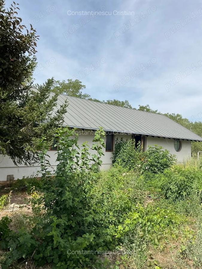Casa 190mp cu teren 4.000mp, Carpenisu, jud Giurgiu - 5