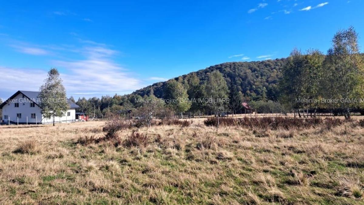 GM53438 Oportunitate investitie in Muntii Fagaras, teren 18000mp - 8