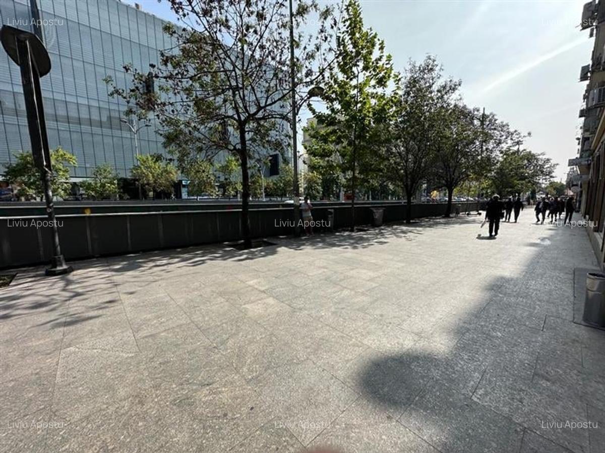 Inchiriere spatiu comercial 84mp, vis a vis de Cocor, stradal, vad excelent - 6