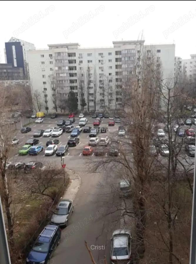 Nerva Traian, Octavian Goga, Unirii, metrou, proprietar - 10