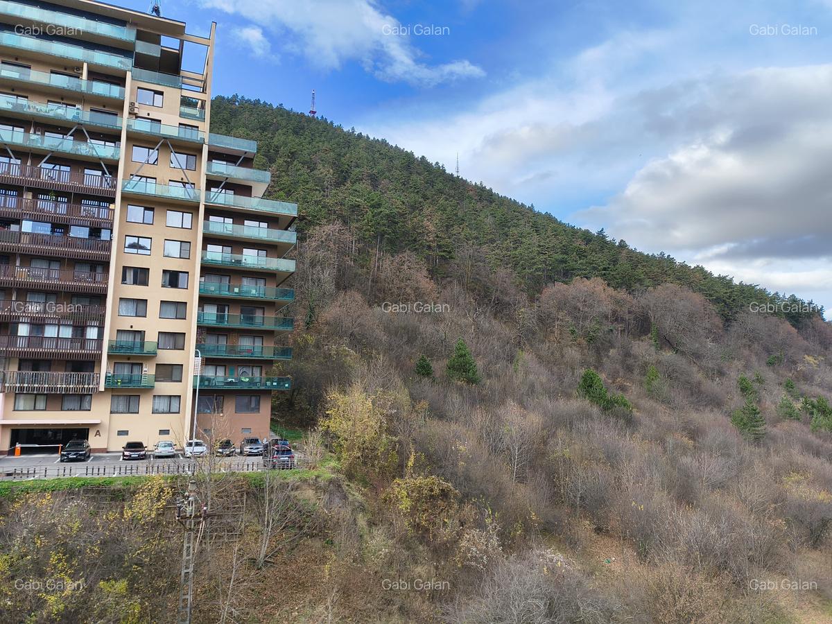 Apartament 4 camere Racadau - 10