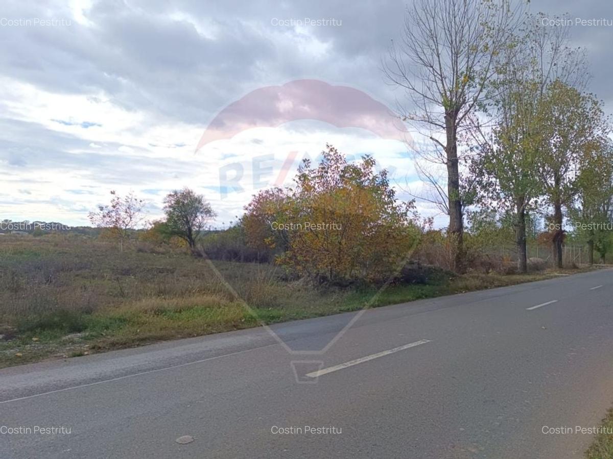 Teren 2,056mp Ciolpani - 6