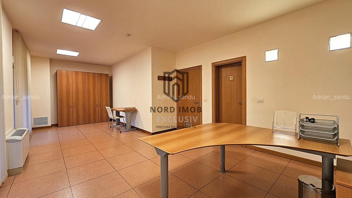 OPORTUNITATE! Spatiu de birouri 6 camere | 266 mp | 5 Bai | 2 terase | Herastrau - 12