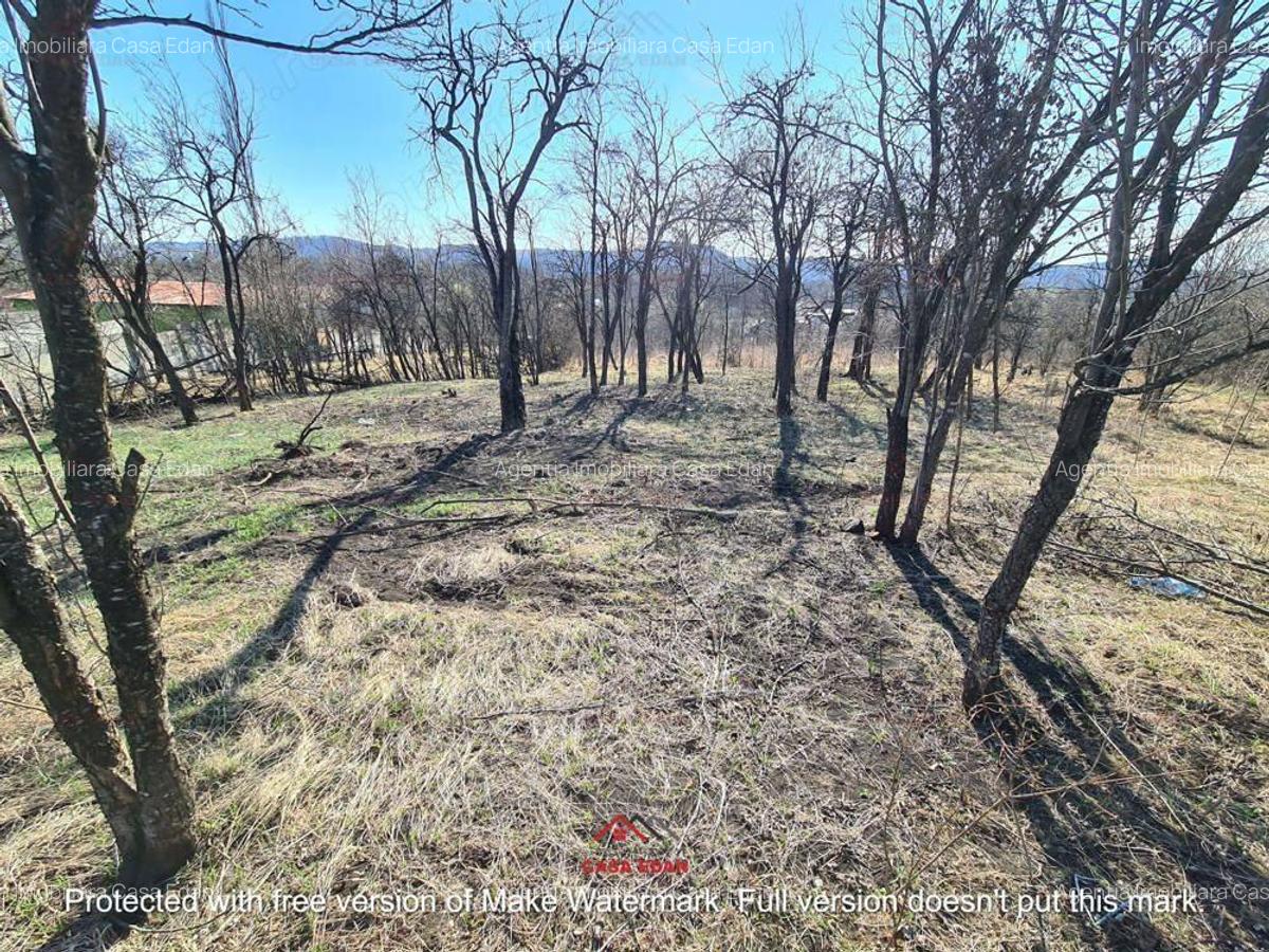 Teren intravilan in Cornu de Jos--4391 mp--43e - 9