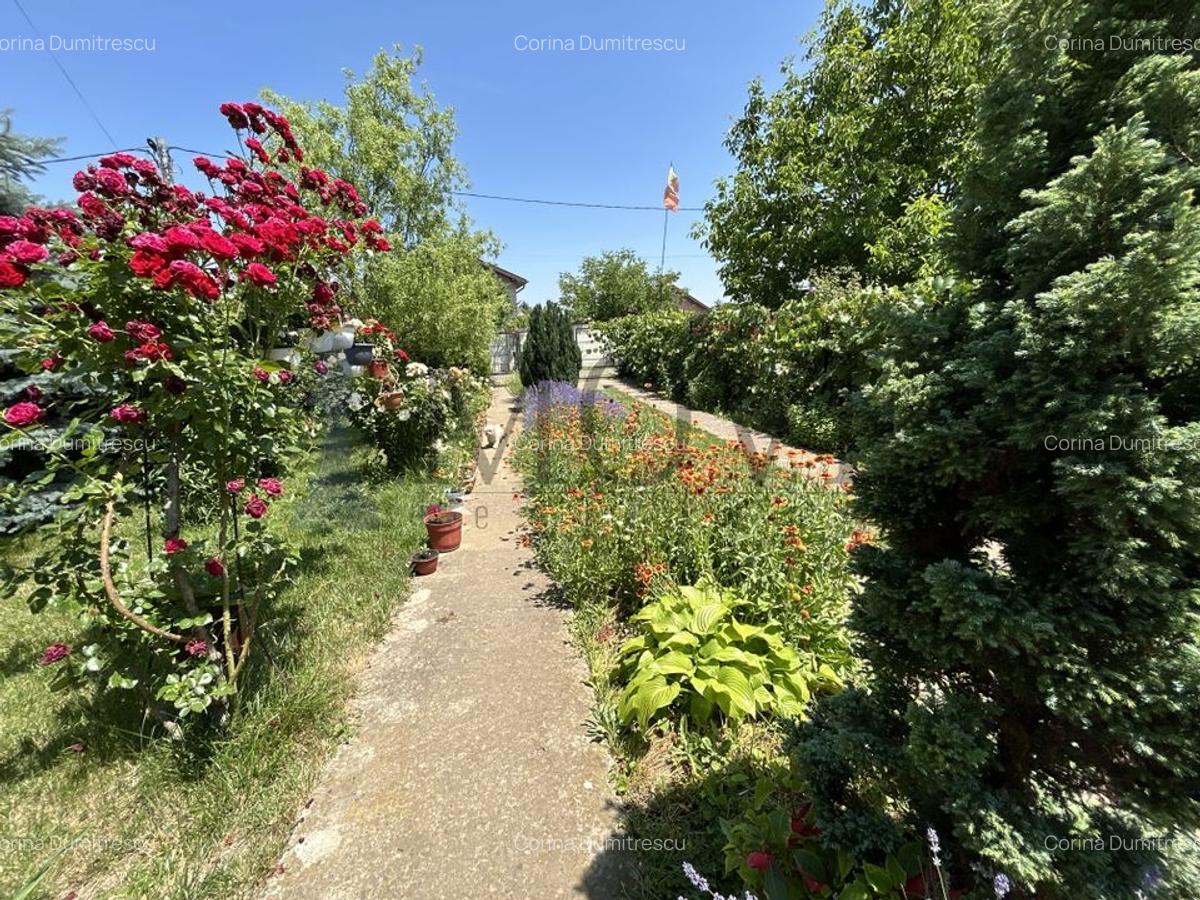 BELCIUGATELE- Casă de vacanță sau locuință permanentă - 19