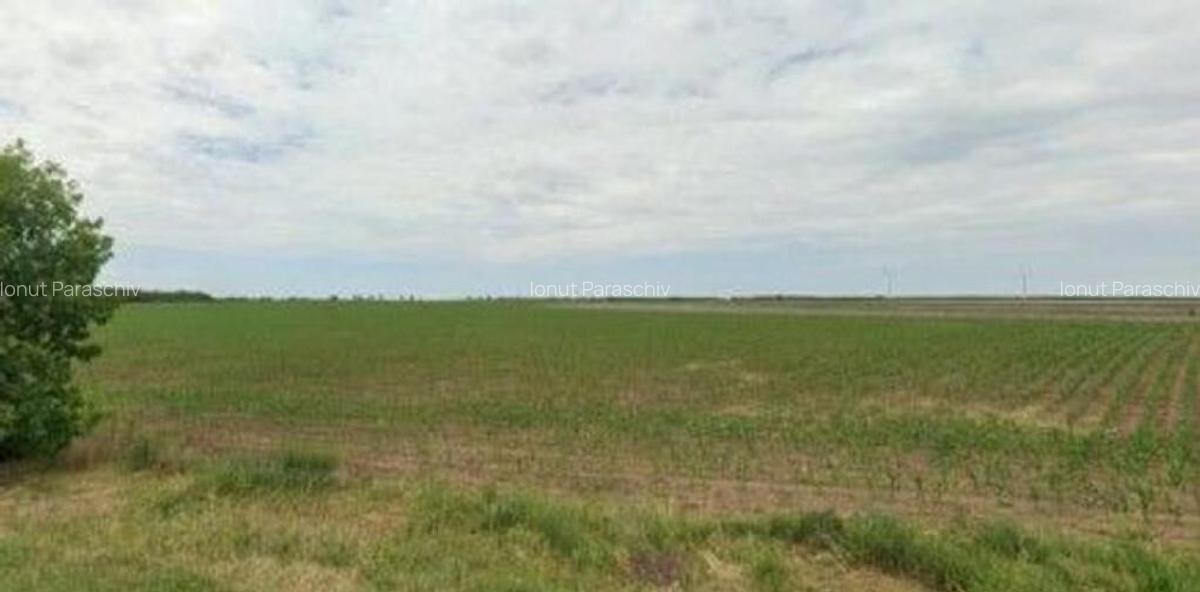 Teren extravilan Pogoanele, ID: R2586845 - 6