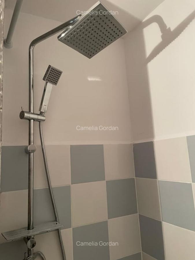 Inchiriere apart. cu 2 camere, Grigorescu, 550 Eur/luna - 12