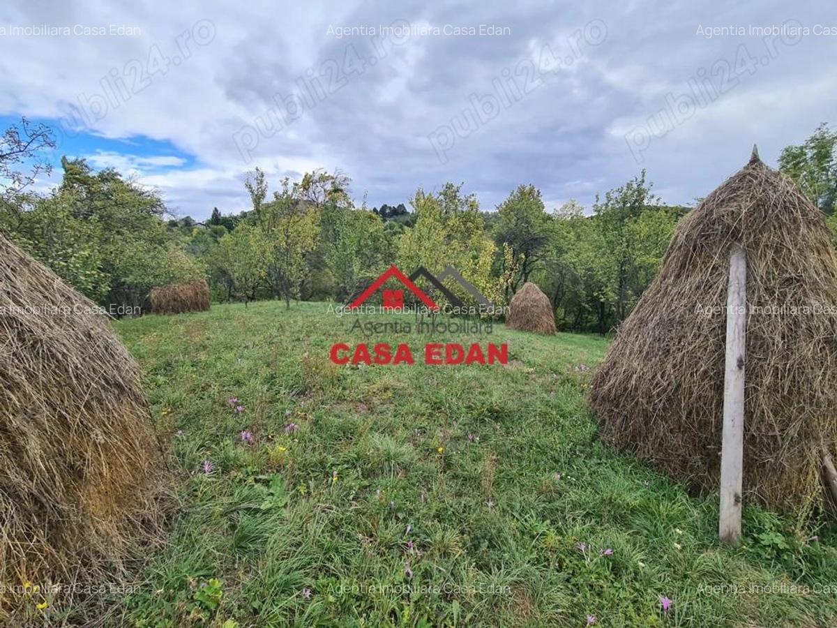 Teren intravilan in Sotrile--1671m--13e - 1