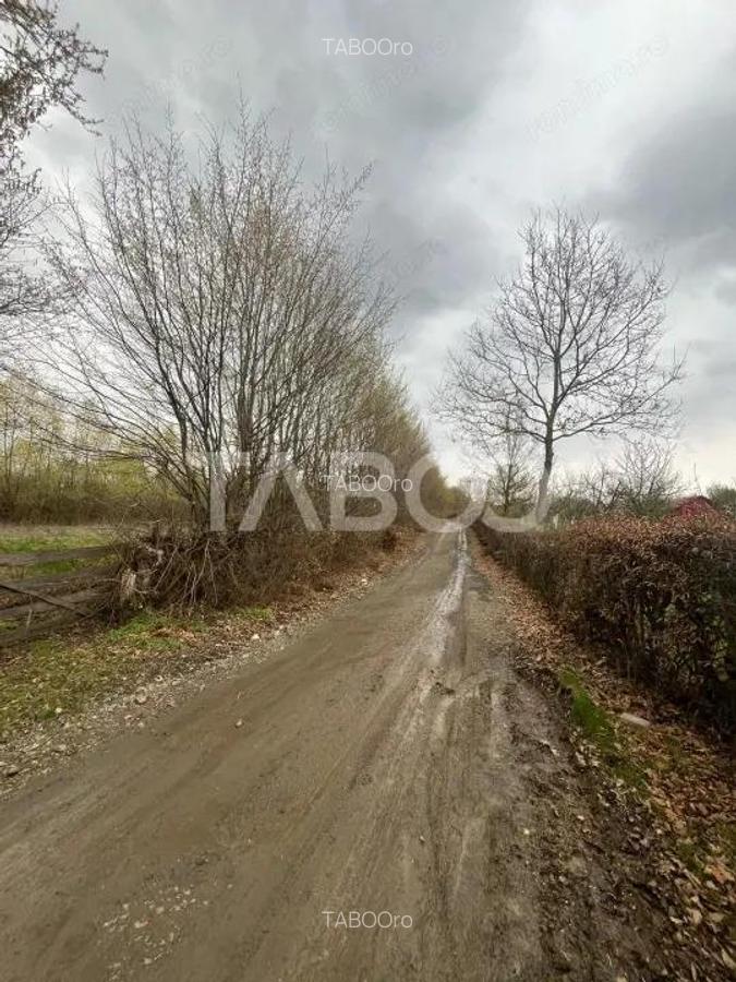 Teren intravilan de vanzare 550m front 21 m utilitati la 120m Cisnadie - 3