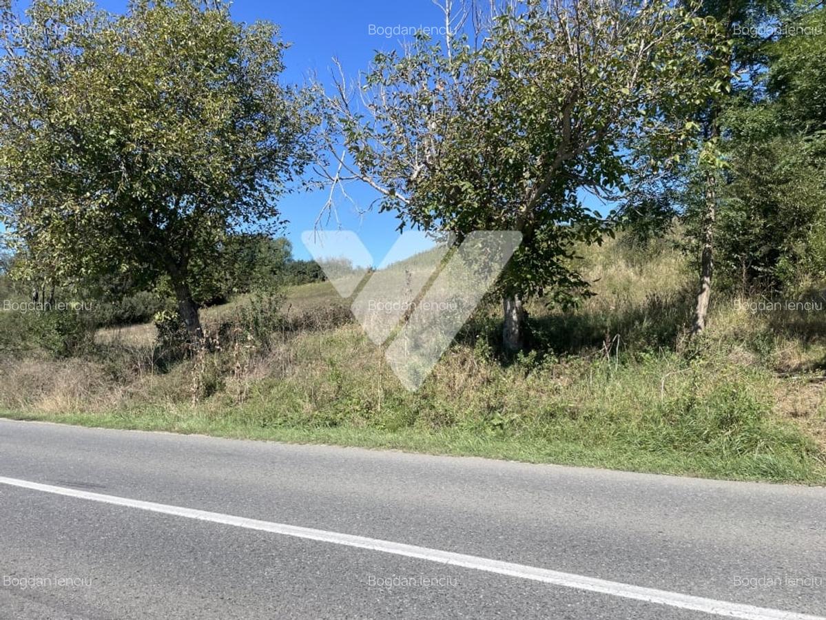 Teren intravilan cu PUZ aprobat 1300 mp - 17 km de Sibiu - 4