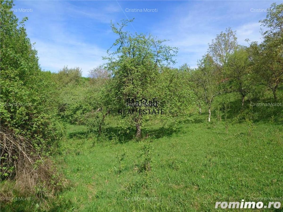 Teren intravilan si cladire in Apuseni, Blajeni, Hd - 11