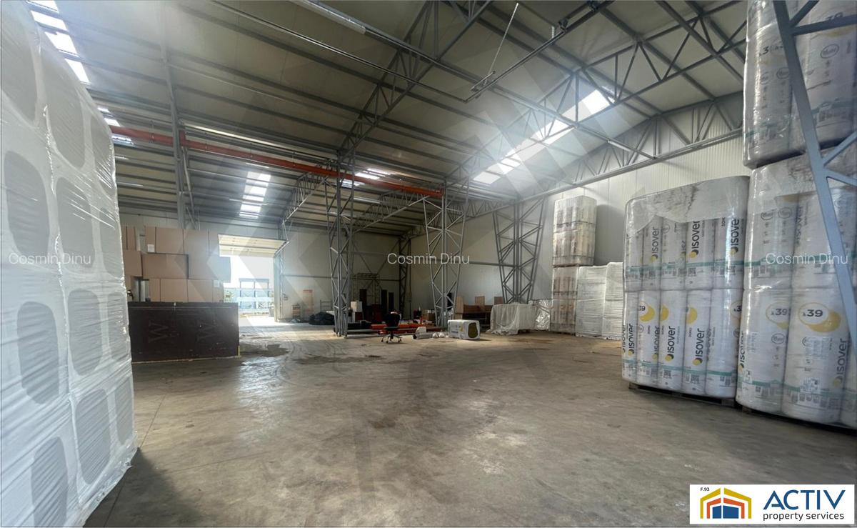 Hala Conti Impex Magurele - 5
