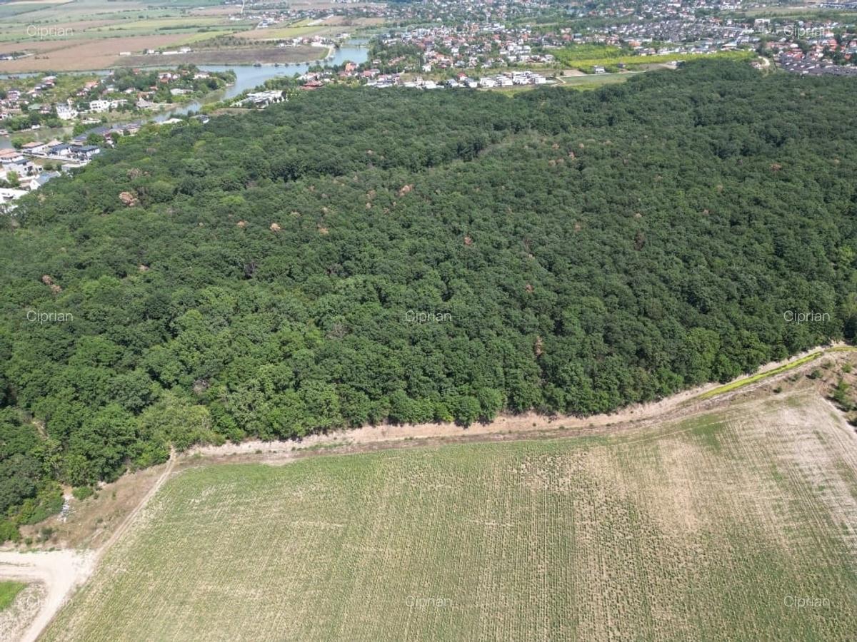 Teren intravilan langa padure Corbeanca Park - 2