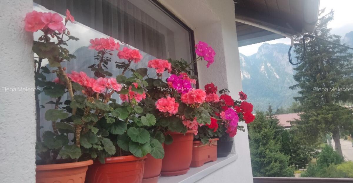 Apartament 2 camere in vila, peisaj fantastic catre mun?ii Bucegi!!! - 13