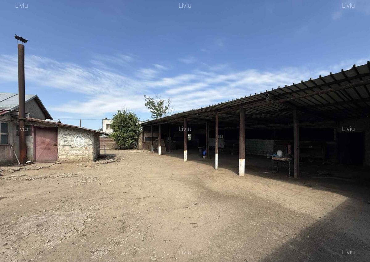 Casa spa?ioasa in Pogoanele, jude?ul Buzau - 11