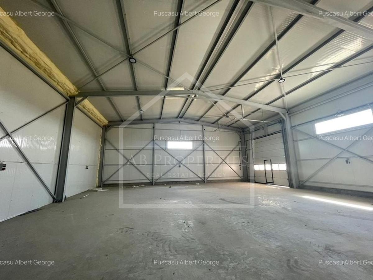 HALA  depozit/hala/spatiu industrial 2025, CHITILA - TOP DEAL - 13