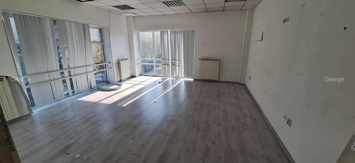 Pipera Iancu Nicolae - 6