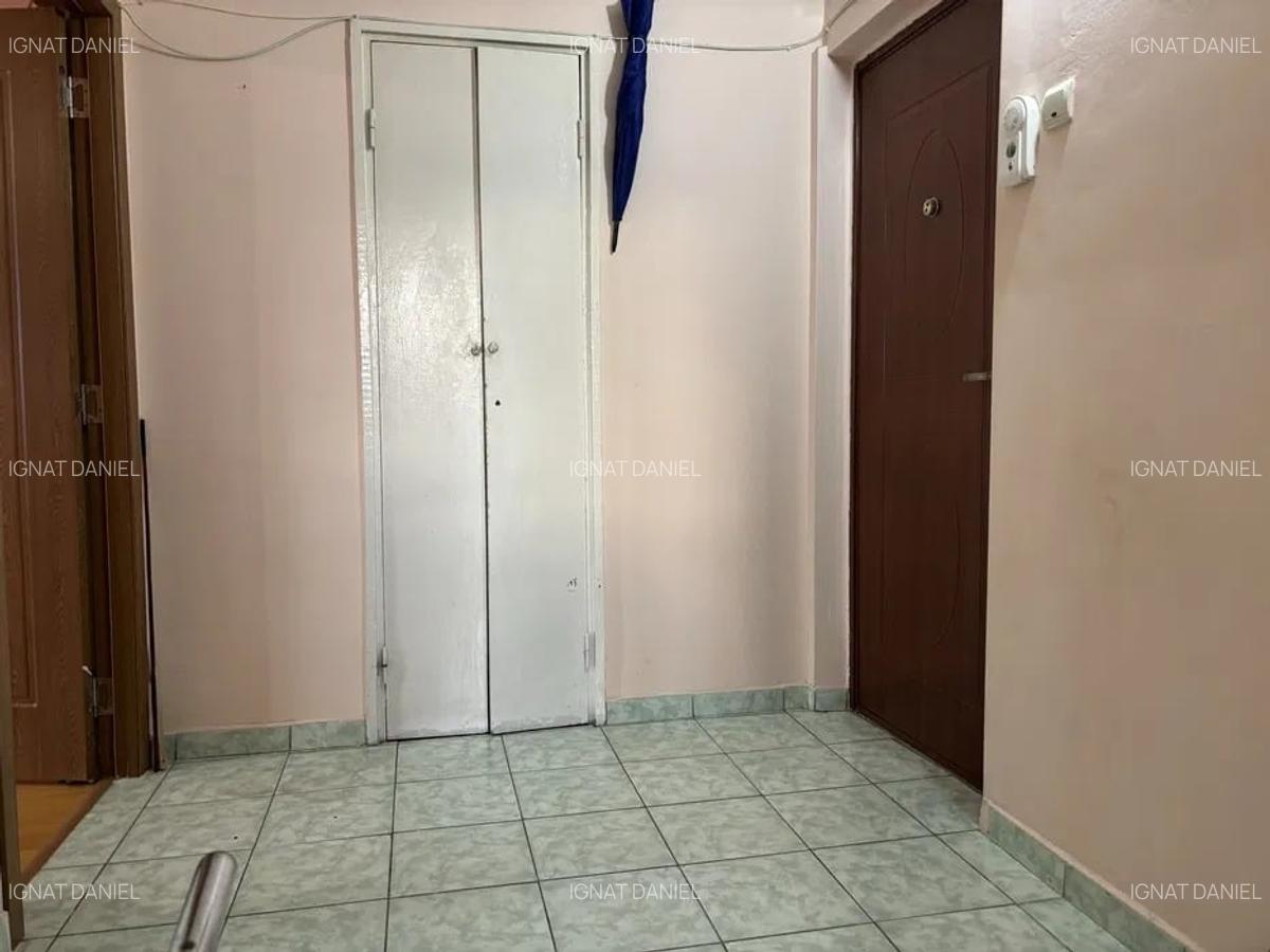 Apartament cu 2 camere decomandat, zona Alexandru cel Bun - 5