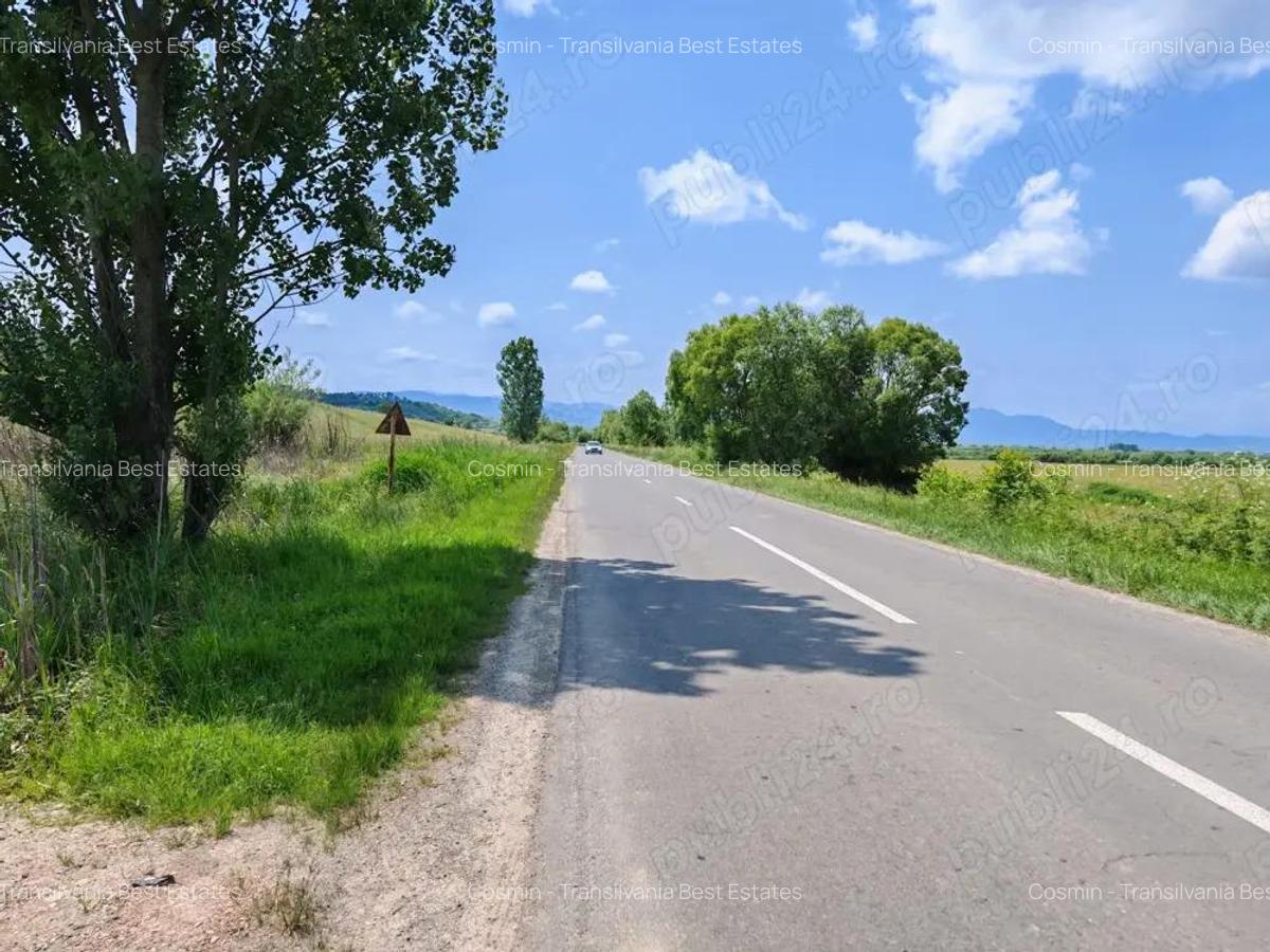 Teren intravilan 7.800 mp Marcu? sau loturi incepand cu 7.000 euro. - 6