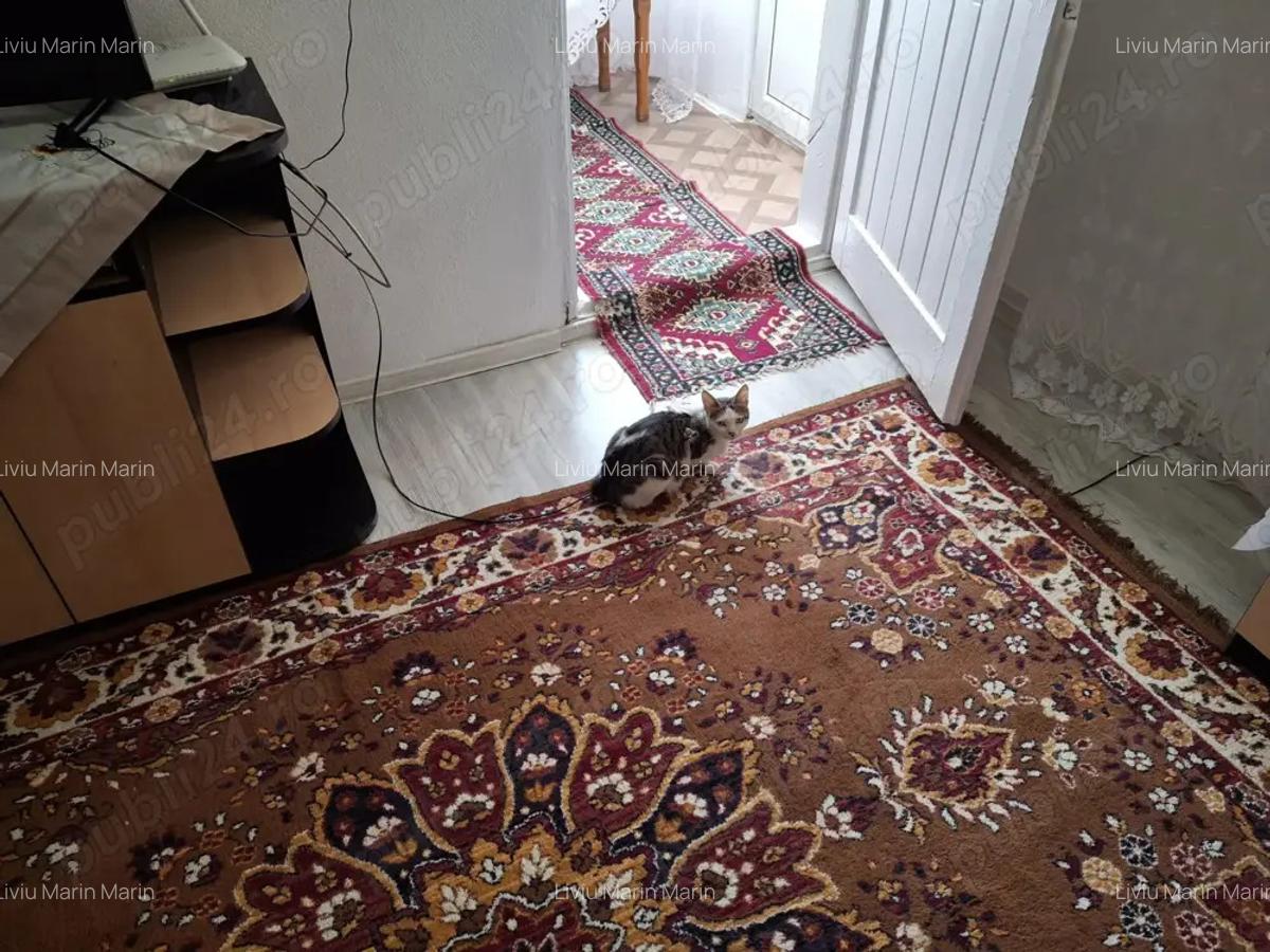 Casa de vanzare in satul Olteni, Judetul Prahova - 6 Casa de vanzare in satul Olteni, Judetul Prahova - 6